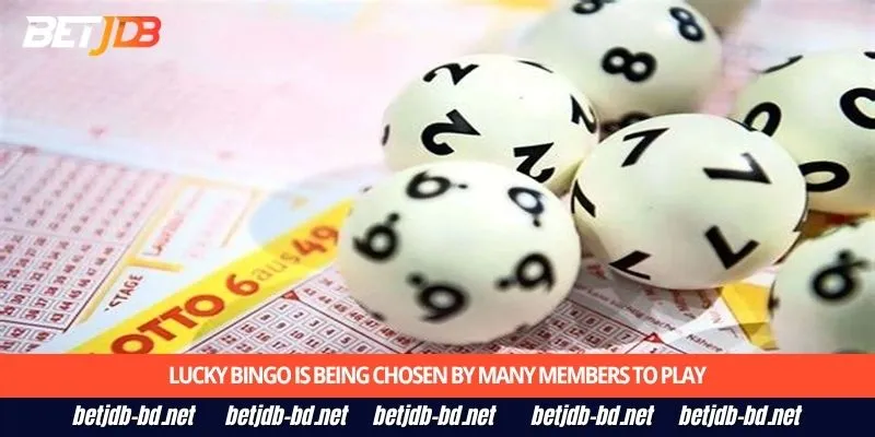 Lucky Bingo is being chosen by many members to play