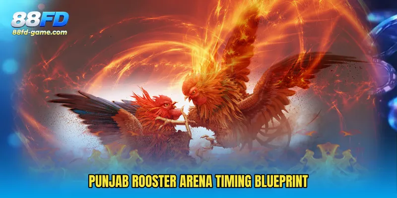 Punjab Rooster Arena timing blueprint
